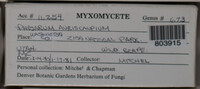 Image Associated With the Occurence